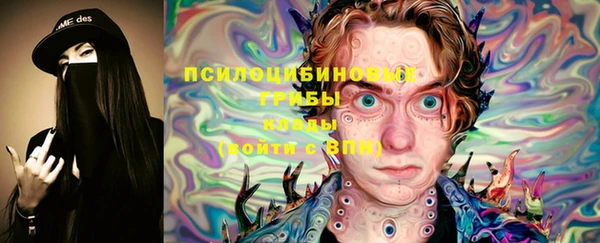 дмт Нязепетровск